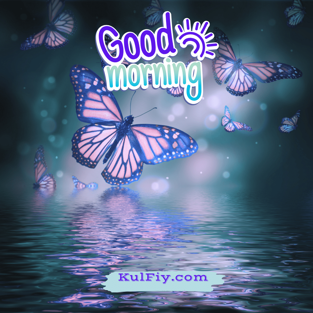 Beautiful butterfly good morning images