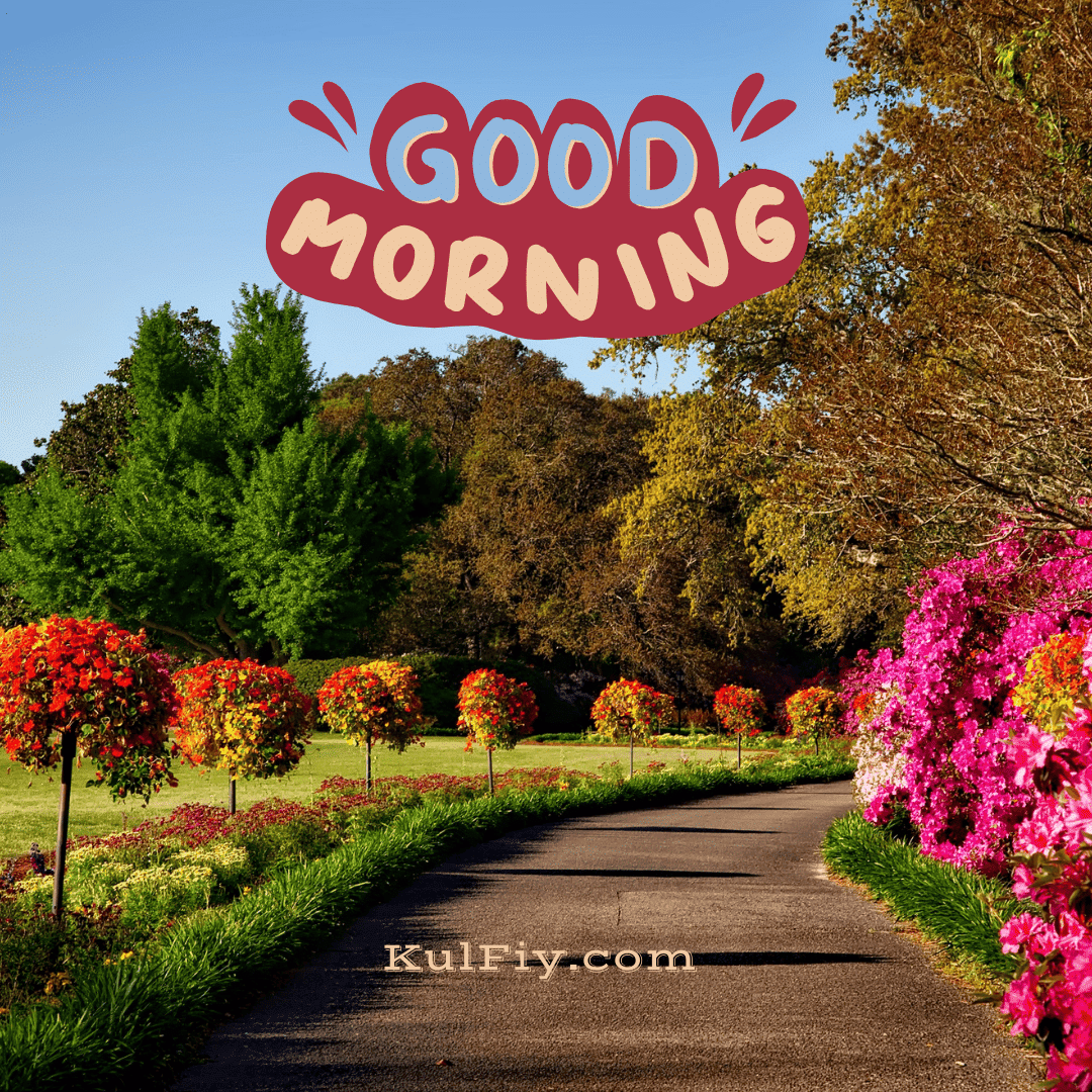 Beautiful flower garden good morning images