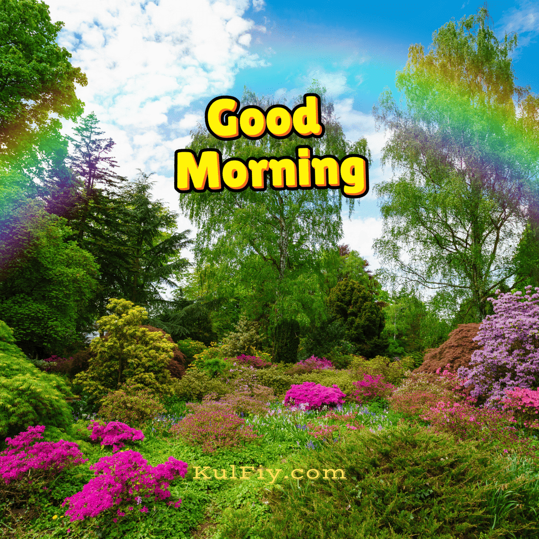 Beautiful nature good morning images with rainbow