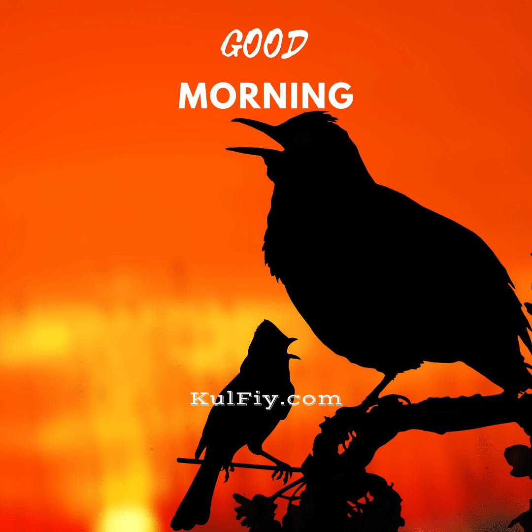 Birds chirping good morning images