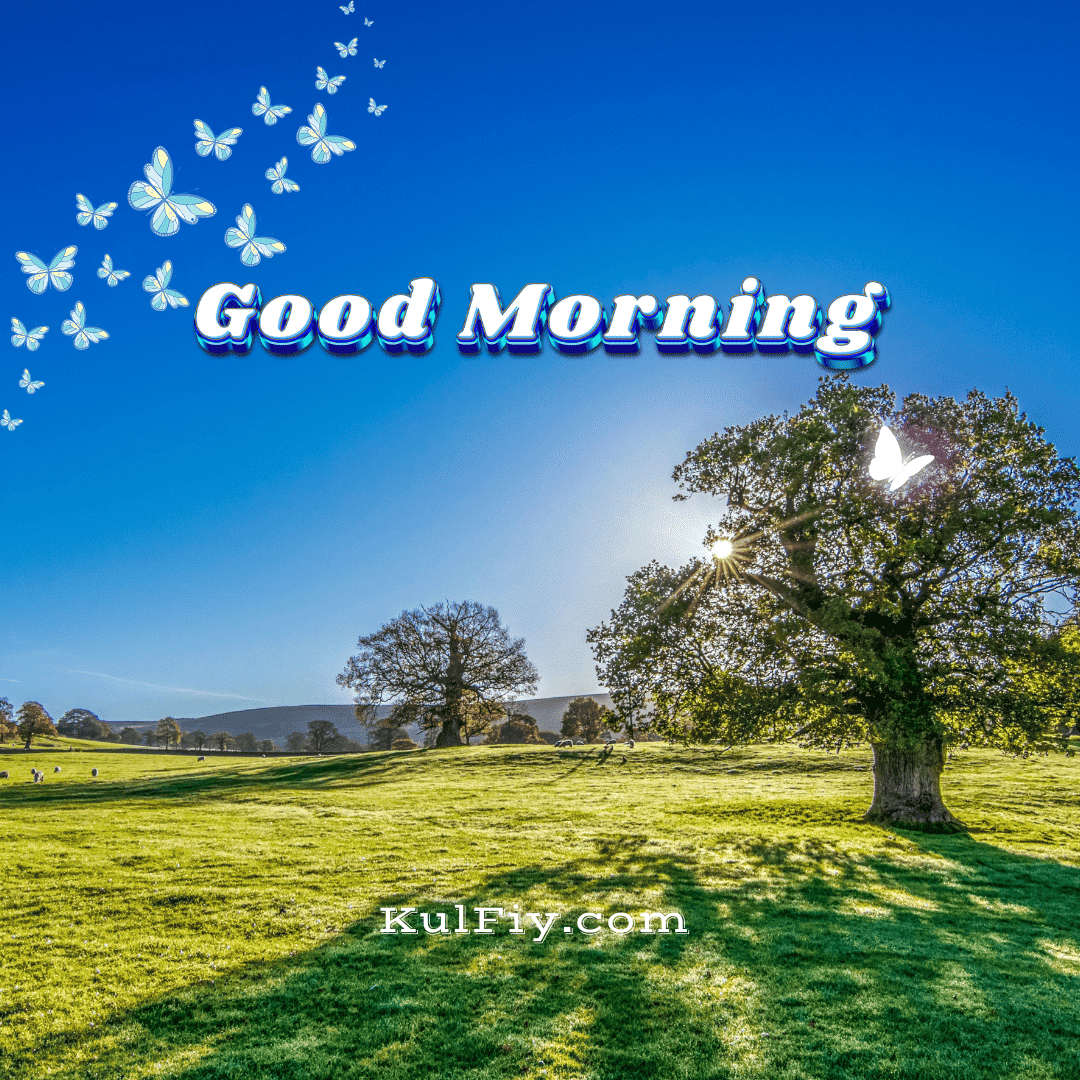 Butterfly tree good morning images with blue background