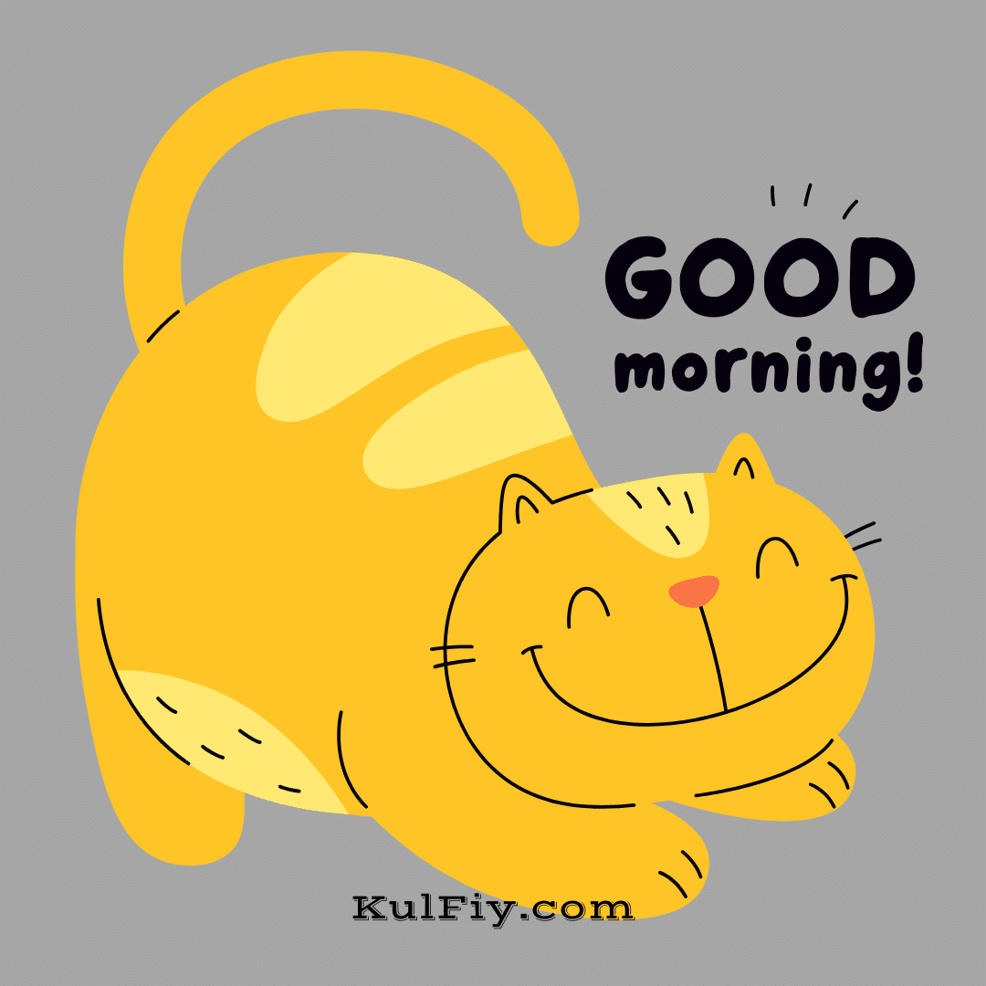 Cat smile good morning images