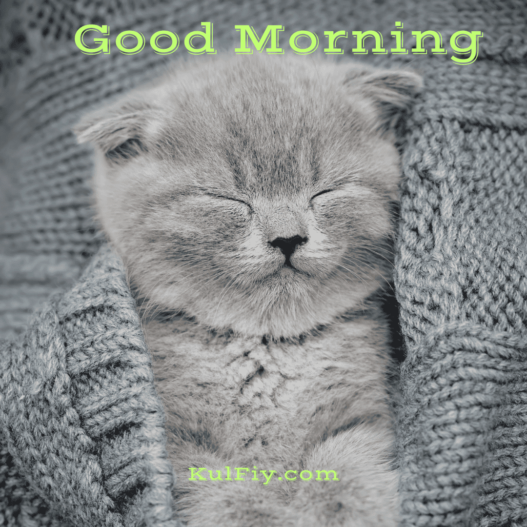 Cute good morning images