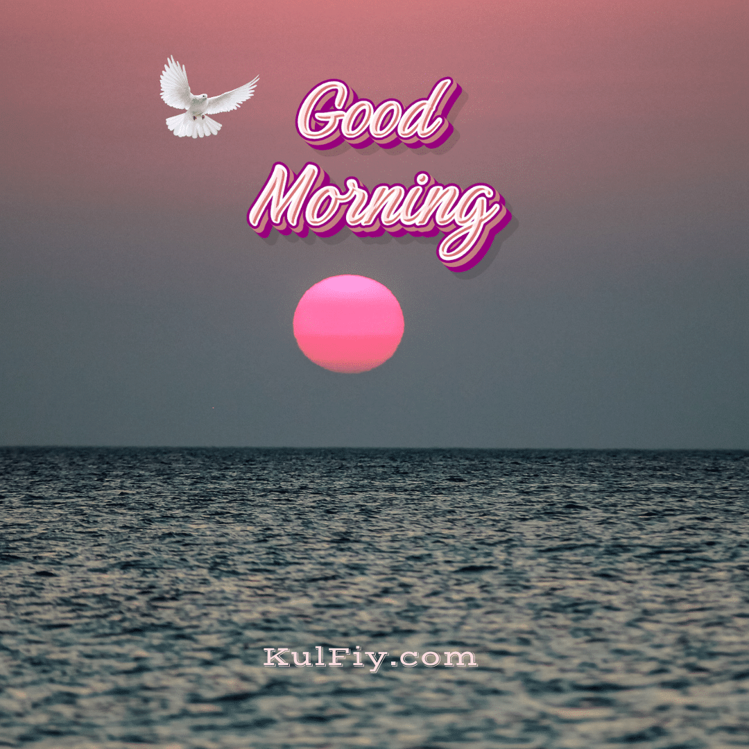 Early morning pink sun over sea good morning images
