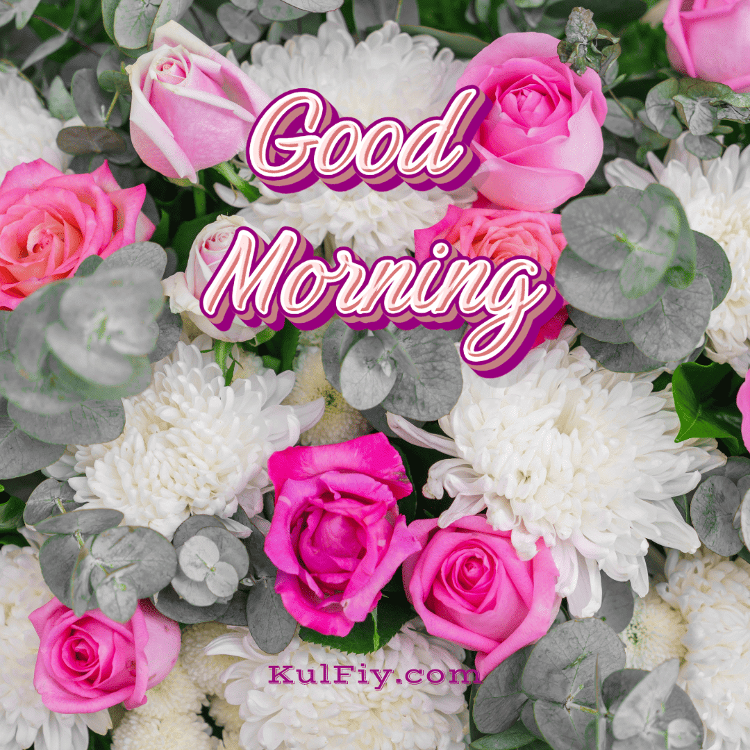 Flower good morning images