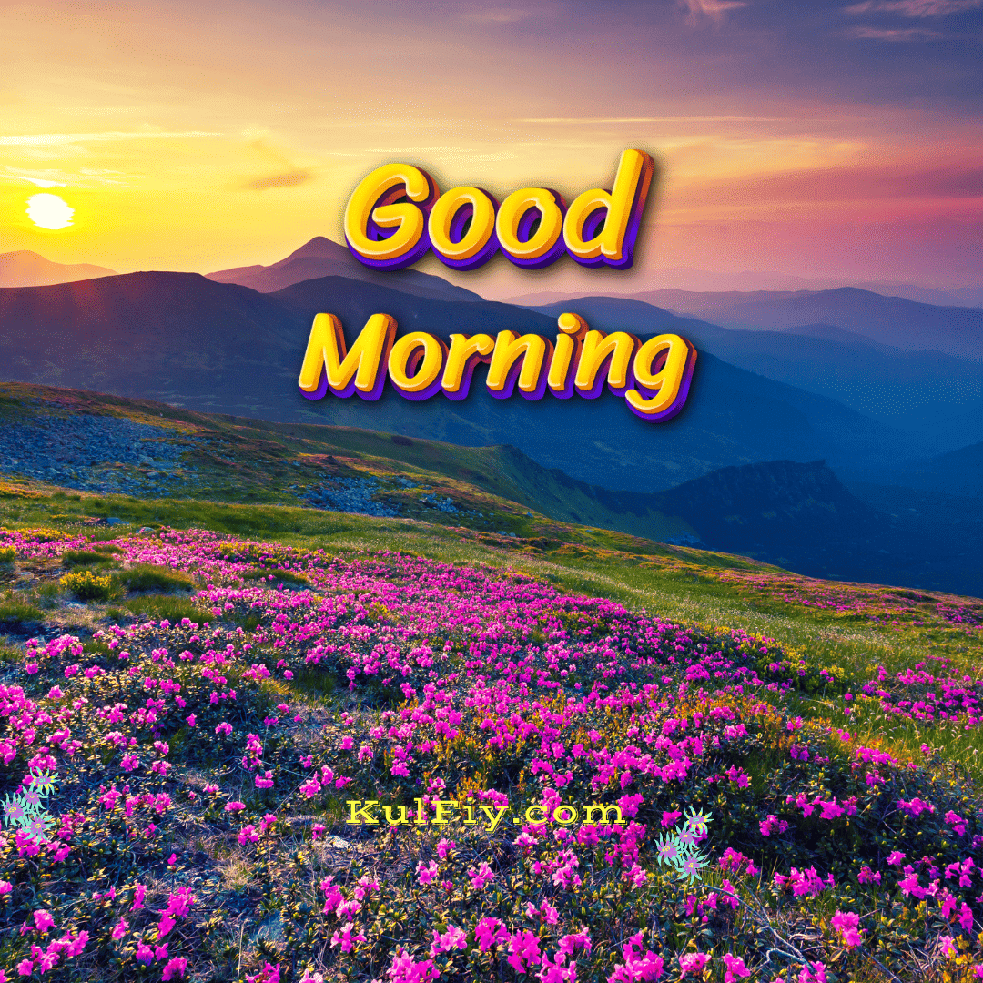 Flower nature sunrise good morning images with sun