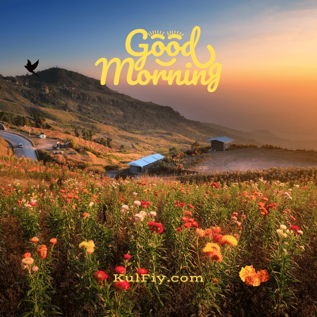 Good morning images with beautiful garden