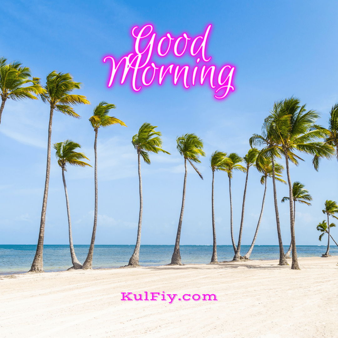 Good morning images with coconut tree in the background
