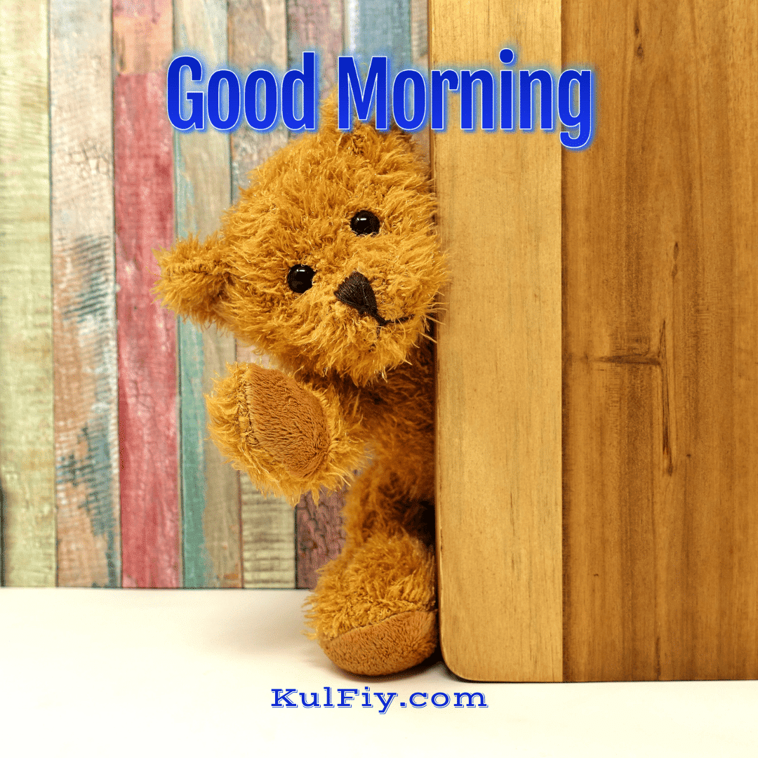 Good morning images with cute teddy