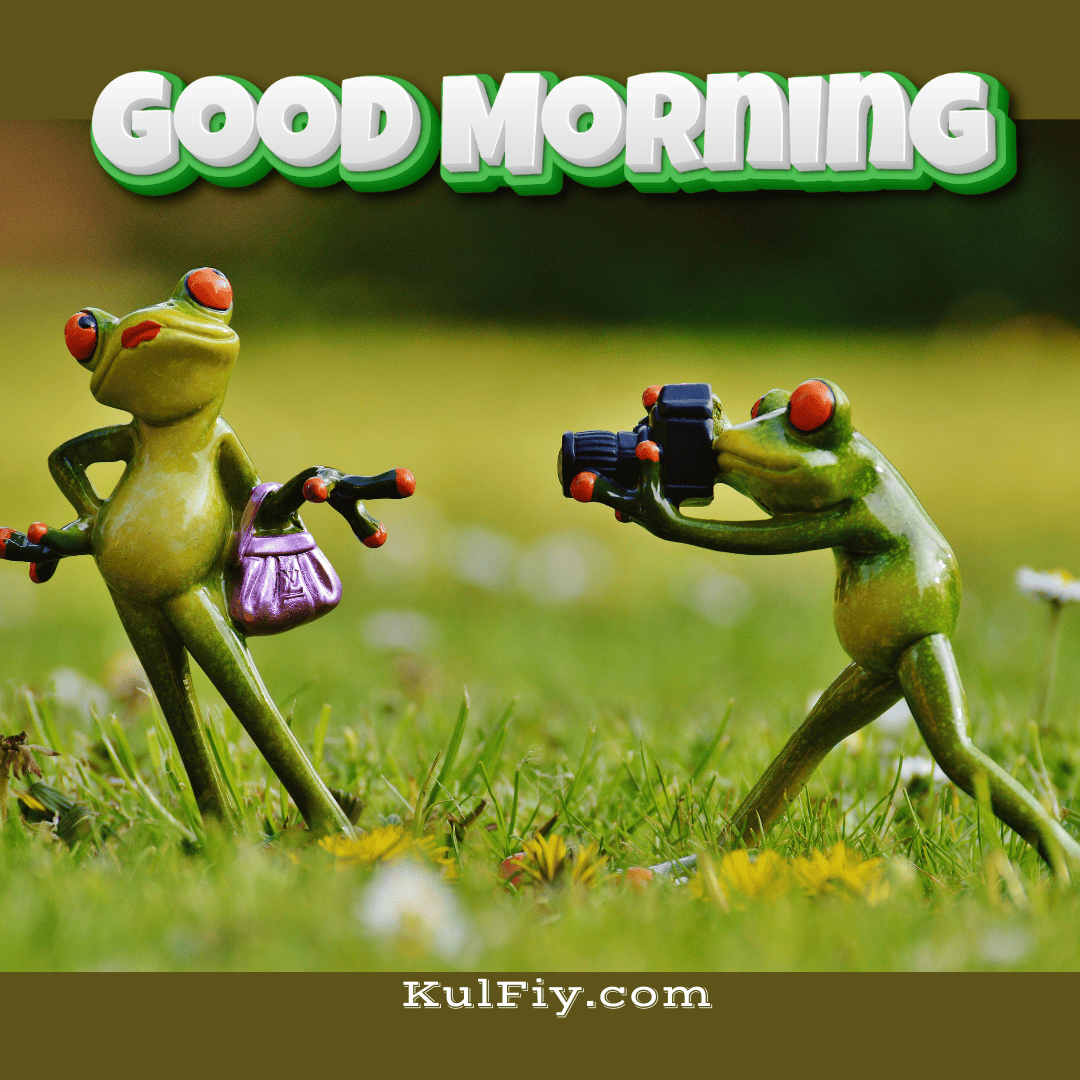 Good morning images with funny frog