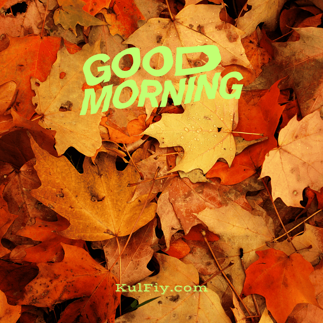Good morning images with leaf background