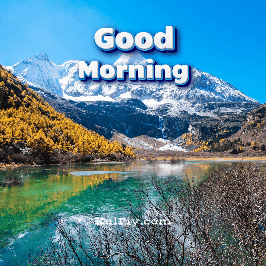 Good morning images with nature