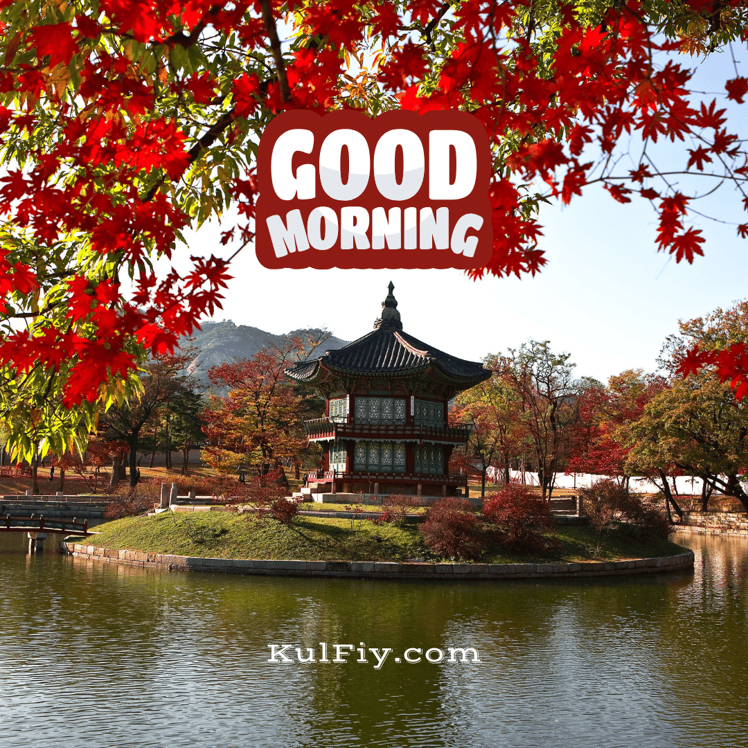 Good morning images with red flowers