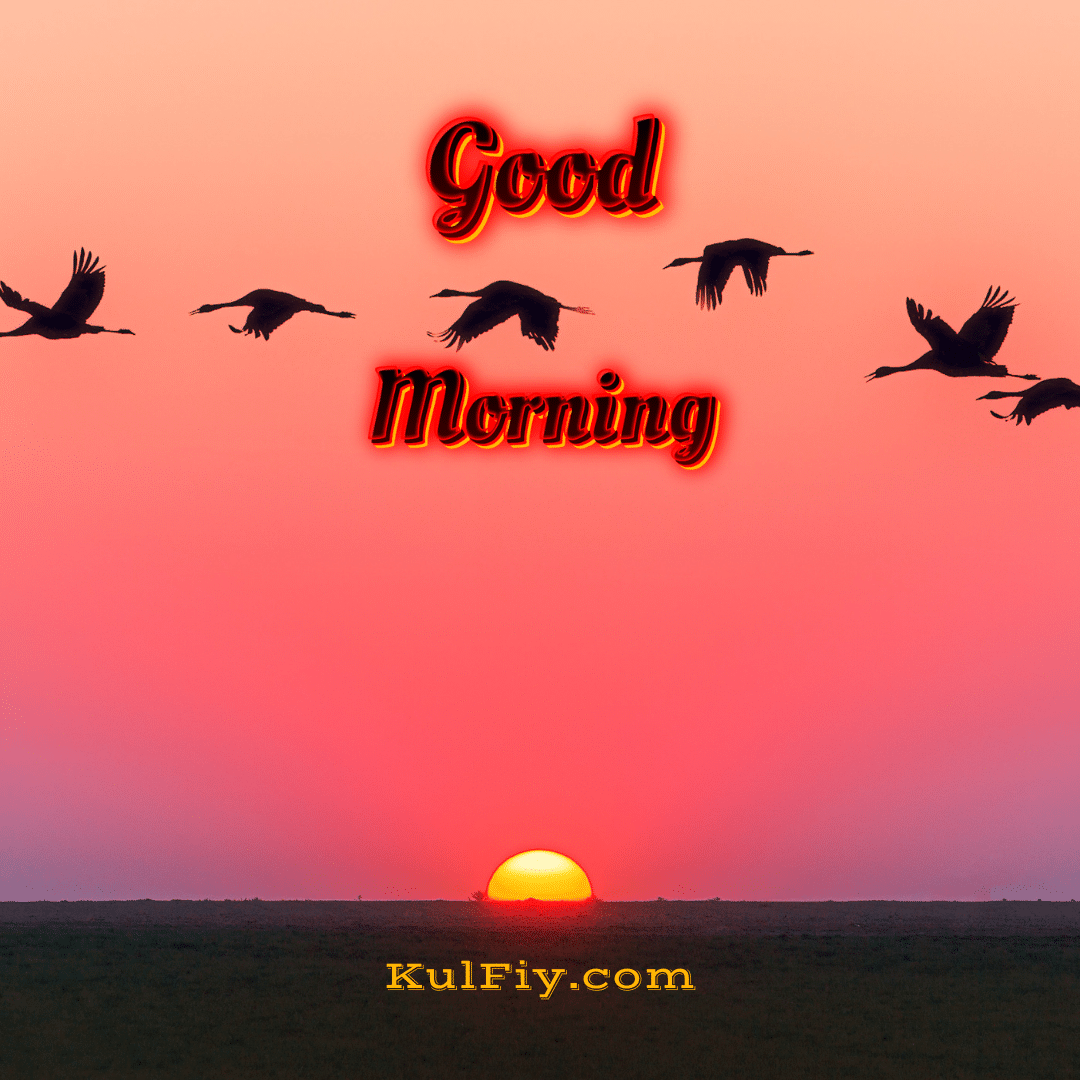 Good morning images with sunrise background