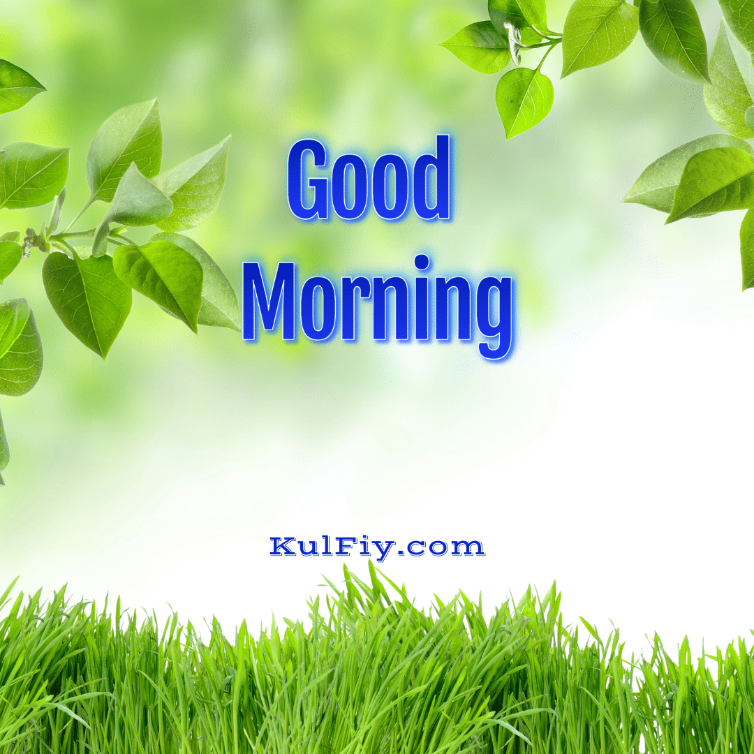 Green leaves and grass good morning images