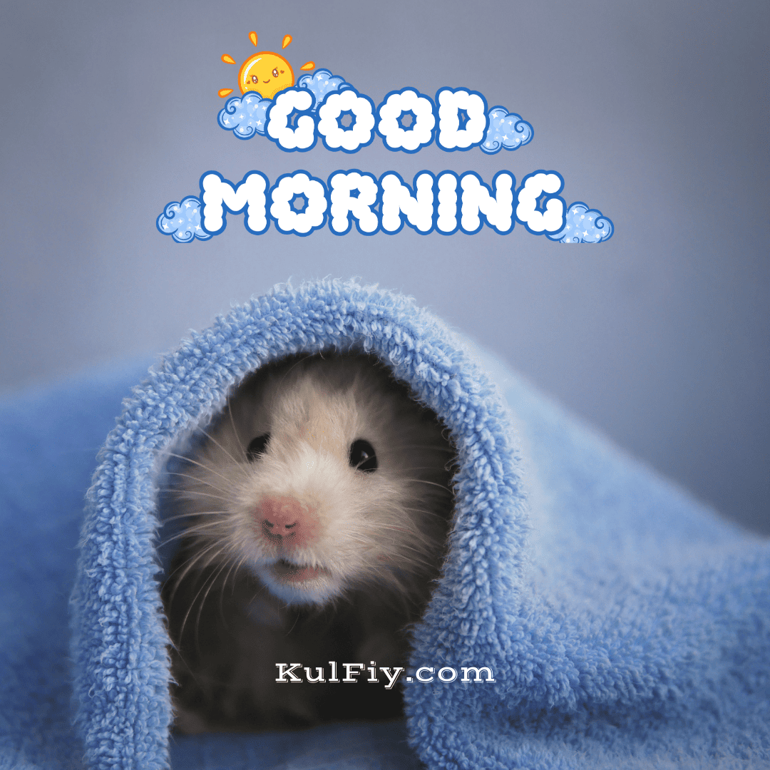 Mouse good morning images