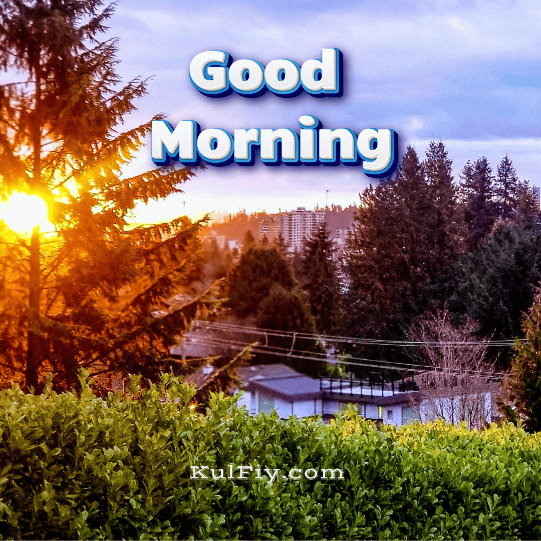 Nature sunrise good morning images