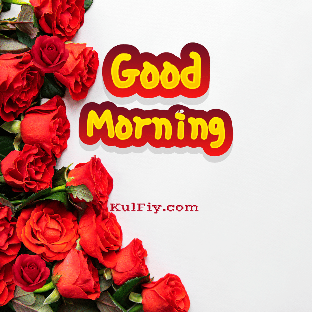 Red rose good morning images