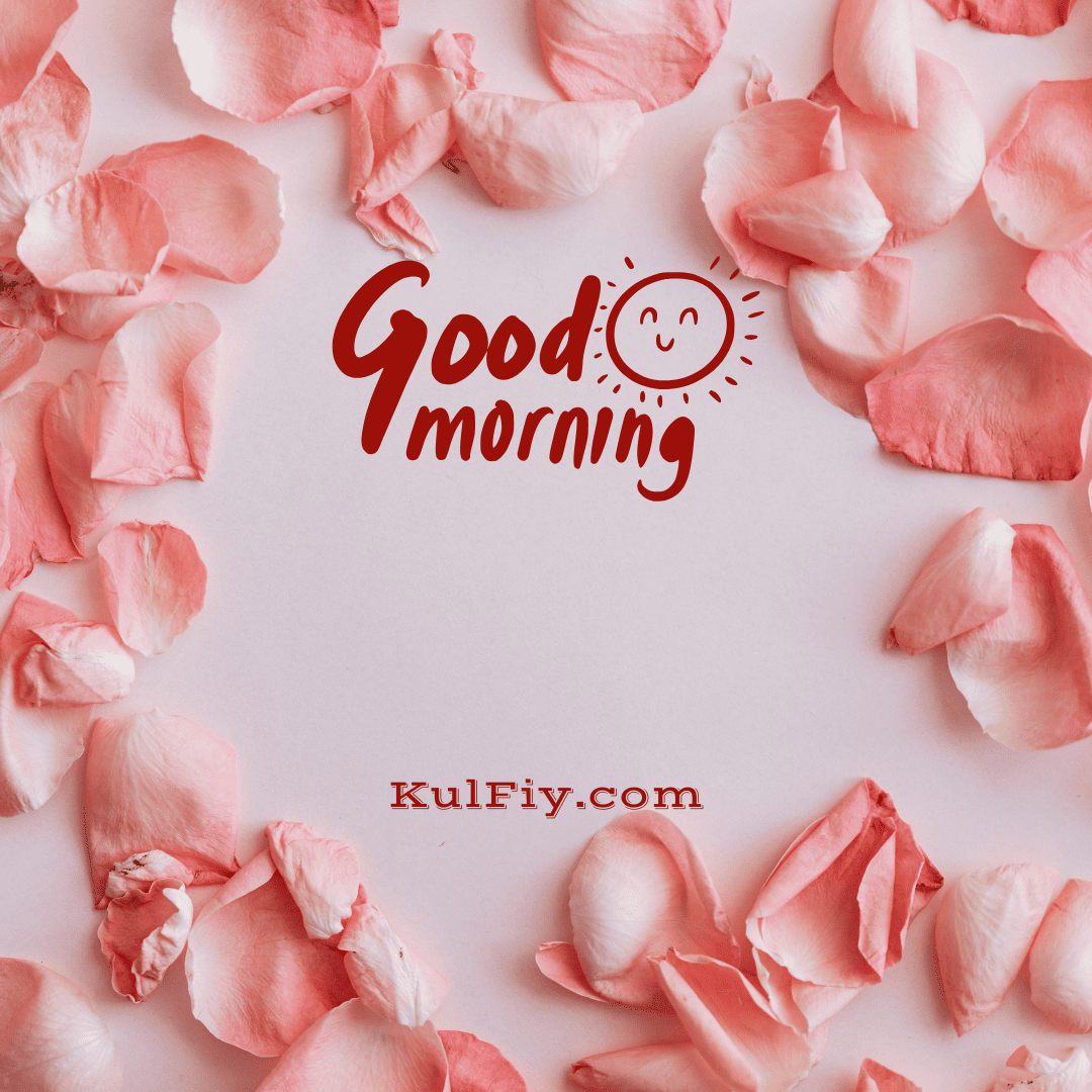 Rose petels good morning images