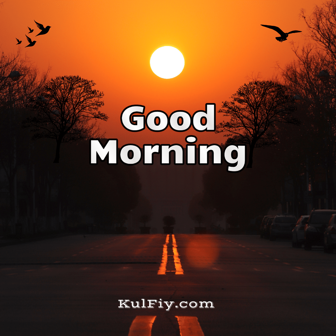Sunrise bird good morning images