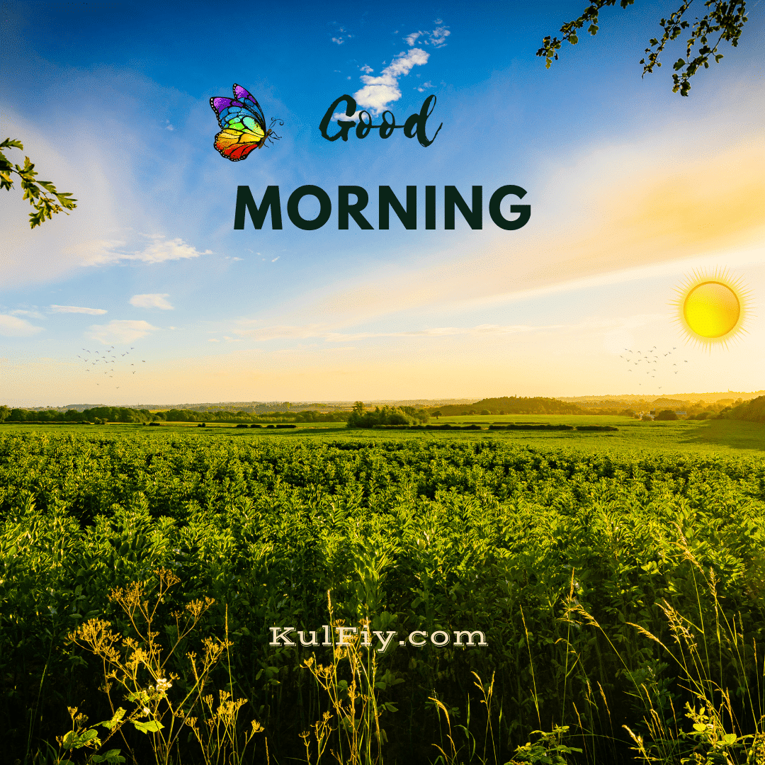 Sunrise nature good morning images