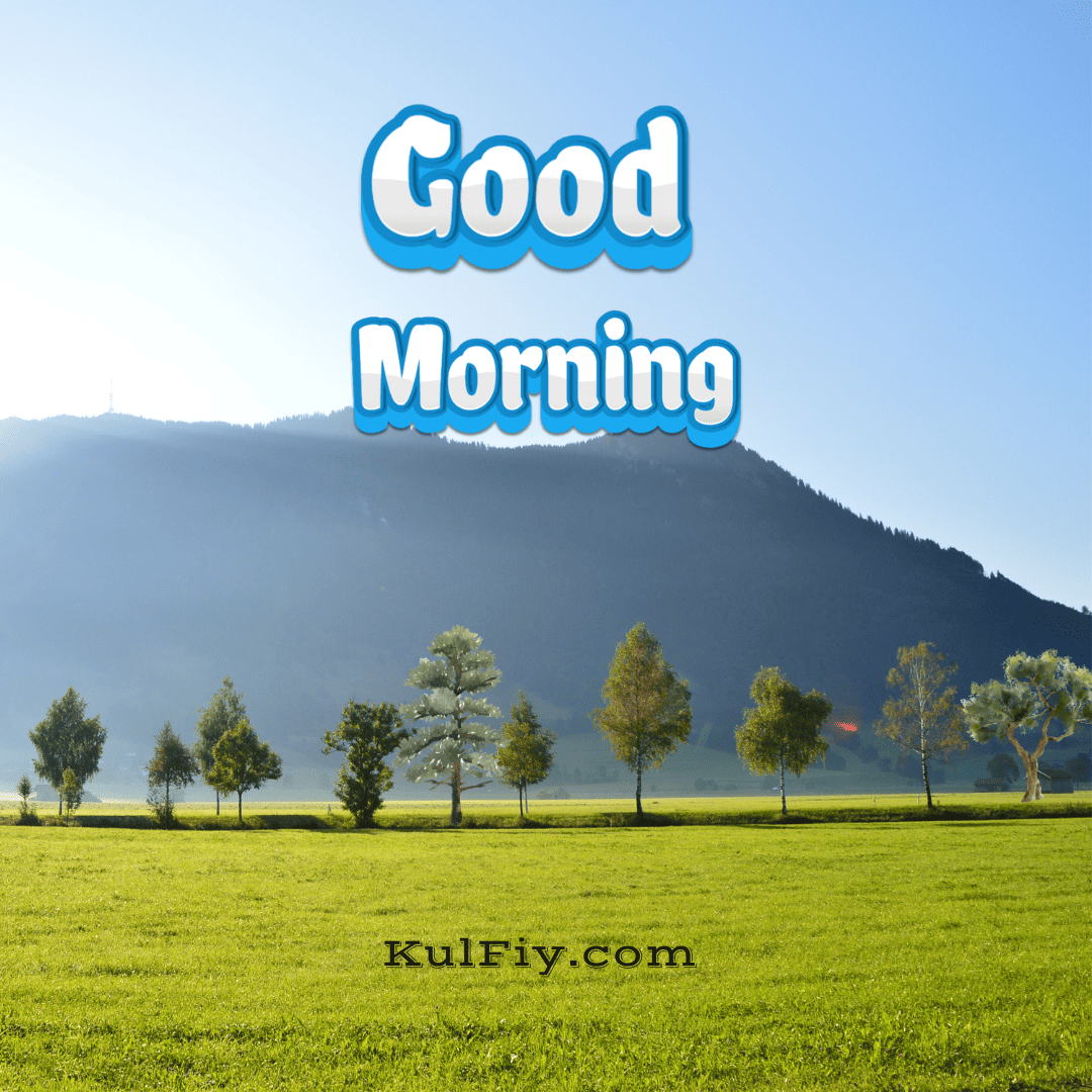 Tree in green field good morning images