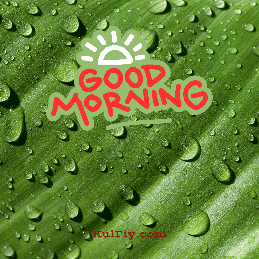 Waterdrops good morning images with green background