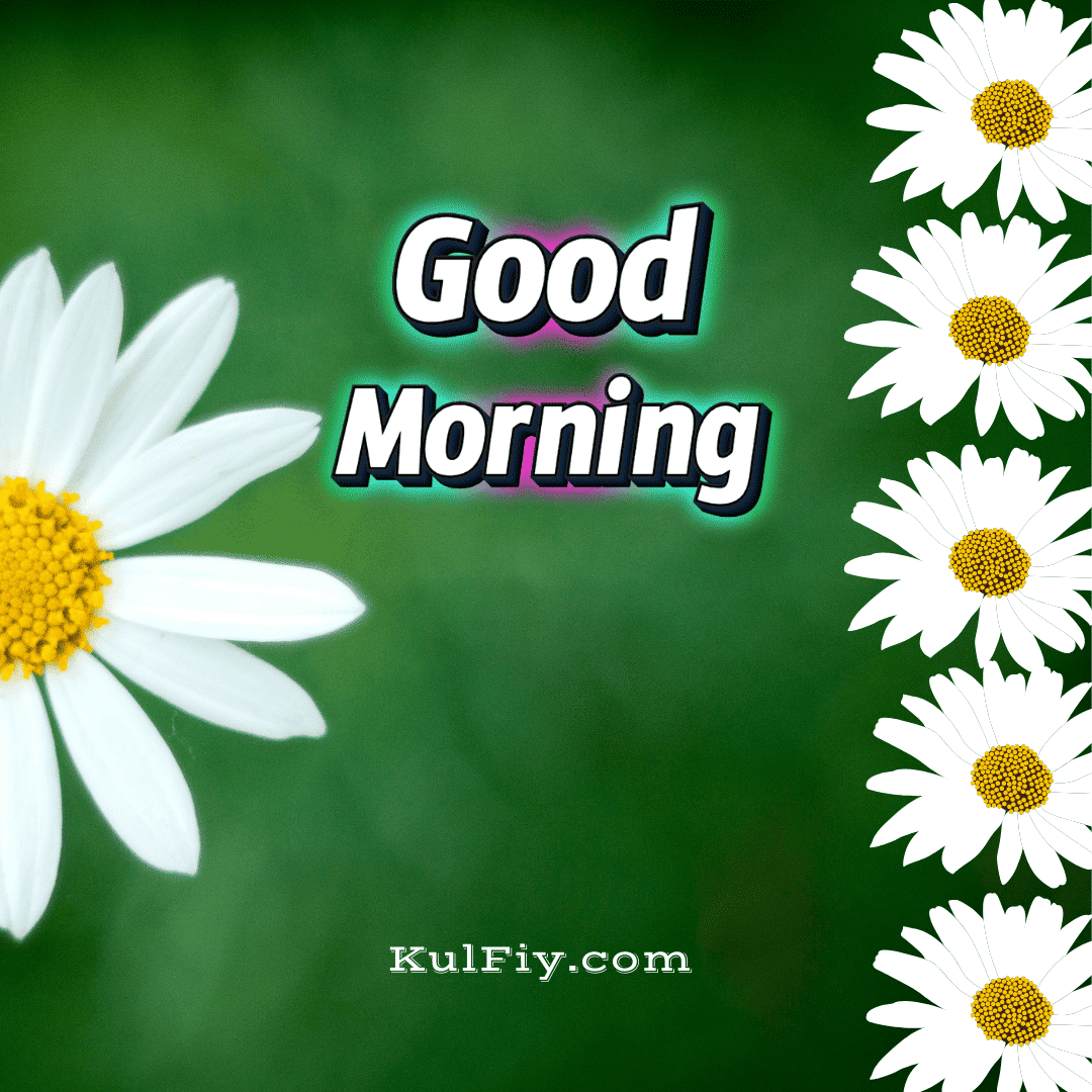 White flower good morning images with green background