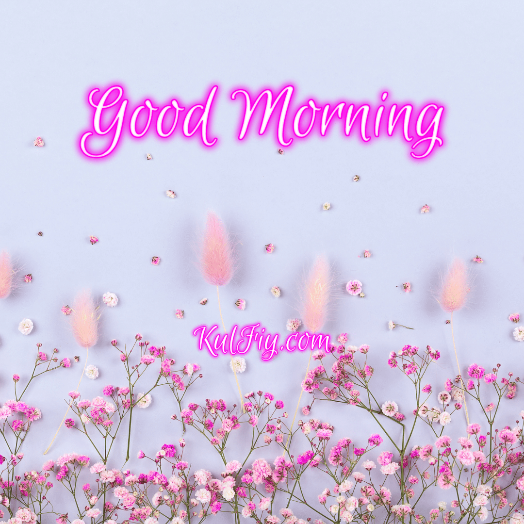Good Morning Beautiful Image