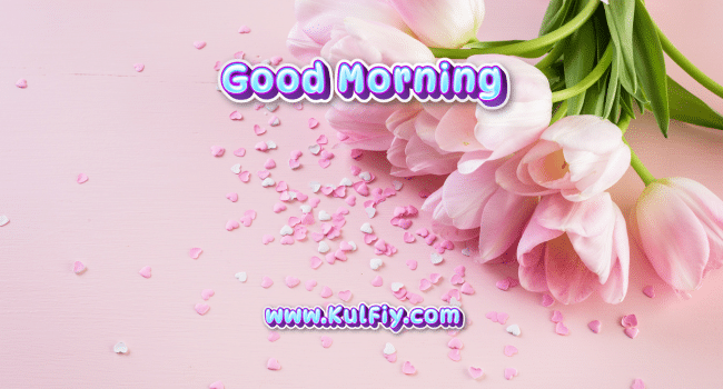 Good Morning Beautiful Images