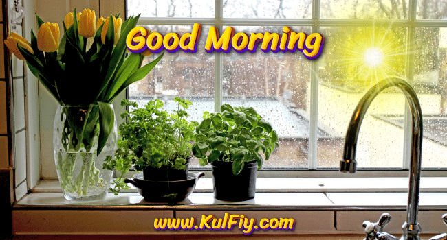 Good Morning Images Free Download