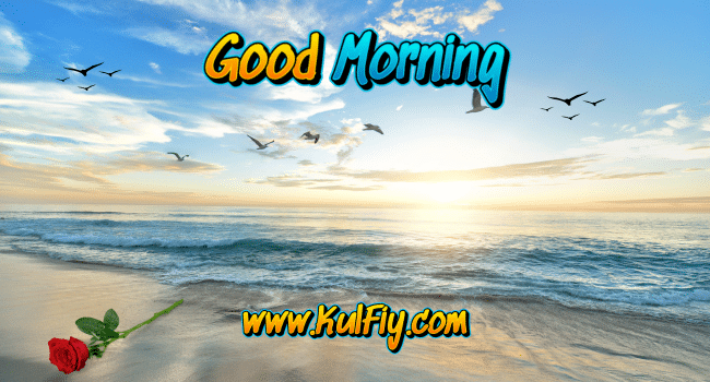 Good Morning Images New Beautiful