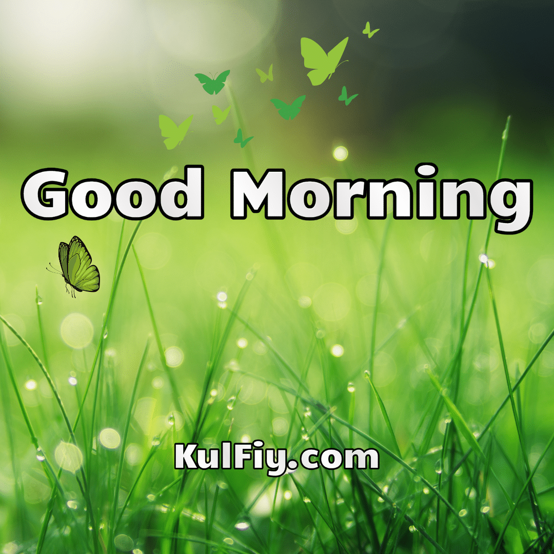 Good morning image with green grass background
