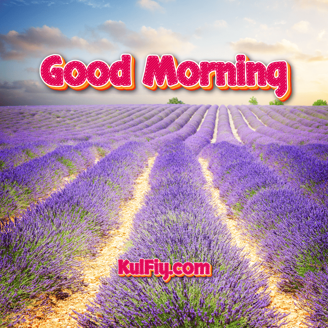 Good morning image with purple field background