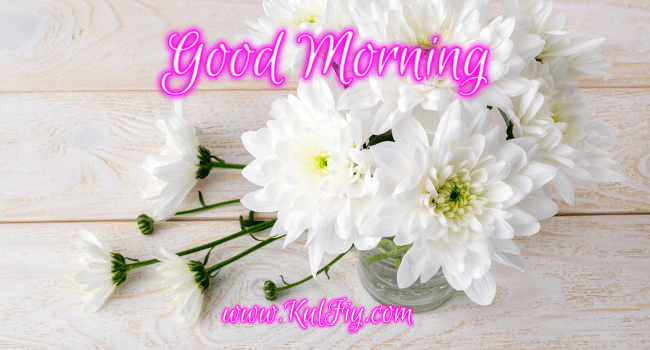 Special Good Morning Images