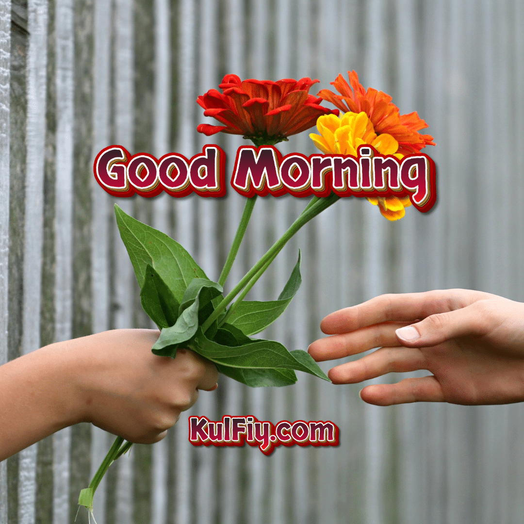Today Special Good Morning Image